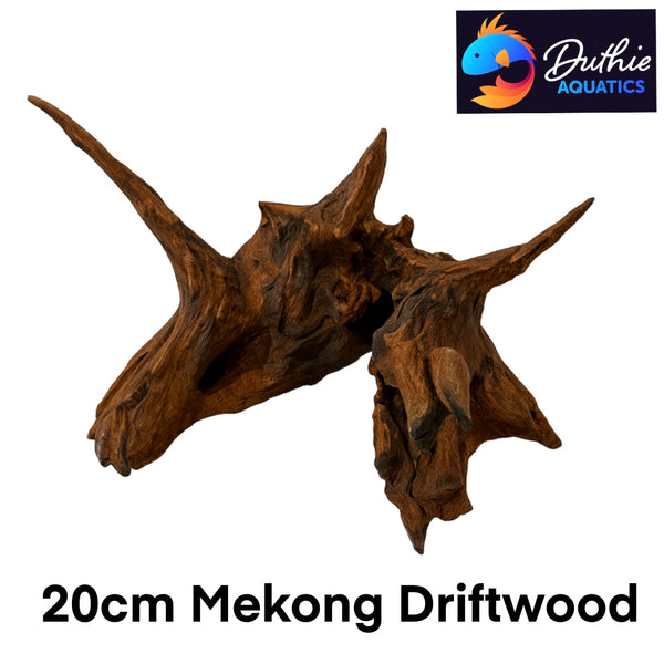 Mekong Driftwood 20cm