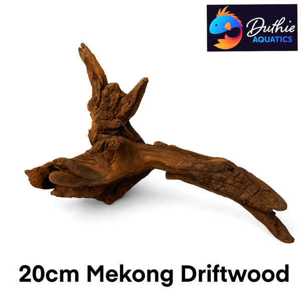Mekong Driftwood 20cm
