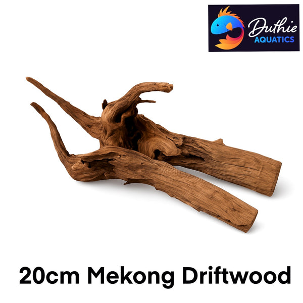 Mekong Driftwood 20cm