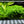 Load image into Gallery viewer, Pearl weed