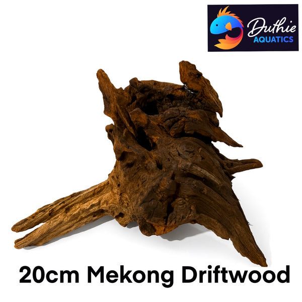 Mekong Driftwood 20cm
