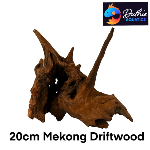 Mekong Driftwood 20cm