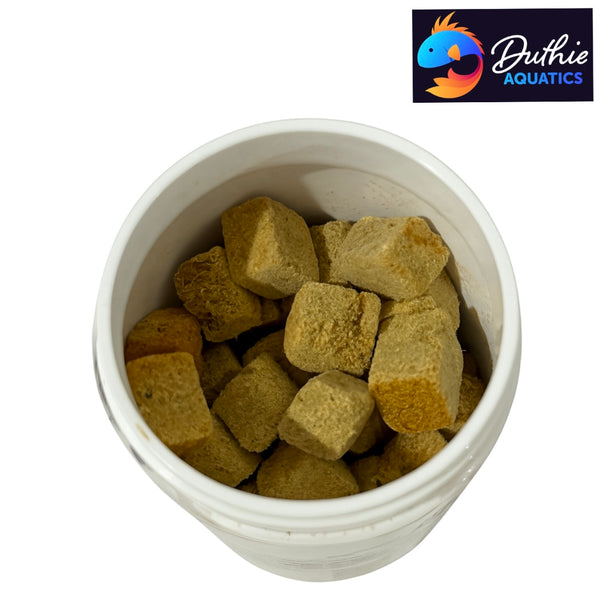 Aqua Natural Tubifex Black Worms 20g