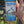 Load and play video in Gallery viewer, Pisces Aquatics Tropical Flake 100g – Premium Daily Diet for Vibrant Tropical Fish