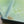 Load and play video in Gallery viewer, Live Daphnia Culture (Moina) – Perfect Live Food for Nano Fish & Fry