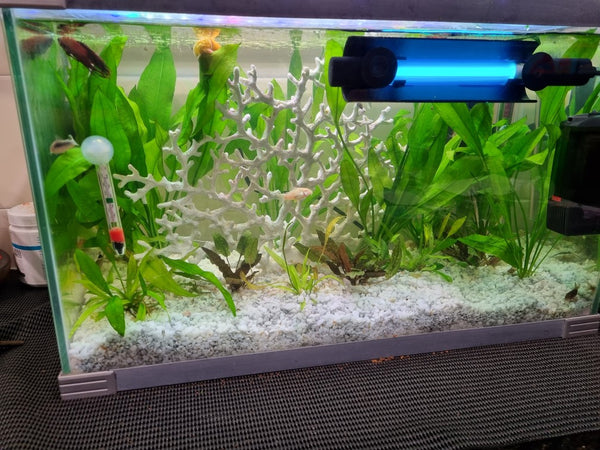 Sunsun UV Steriliser 1400L Capacity