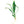 Load image into Gallery viewer, Echinodorus amazonicus (Amazon sword)