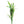 Load image into Gallery viewer, Aponogeton Crispus
