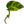 Load image into Gallery viewer, Pothos x3 eyes