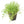 Load image into Gallery viewer, Glossostigma elatinoides – Advanced Carpet Plant for CO₂ Tanks (5cm Pot)