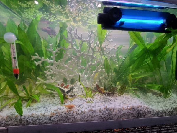 Sunsun UV Steriliser 1400L Capacity