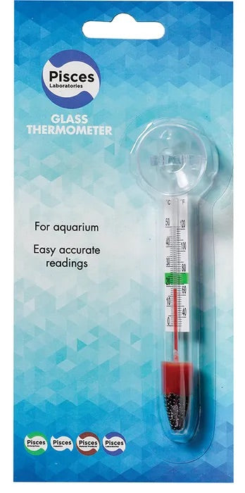 Thermometer Glass