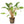 Load image into Gallery viewer, Assorted Crypts 5cm Basket Pot