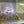 Load image into Gallery viewer, Low Grade Mixed CRS Caradina Shrimp