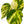 Load image into Gallery viewer, Pothos x3 eyes