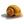 Load image into Gallery viewer, Golden Mystery Snails