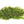 Load image into Gallery viewer, Fontinalis moss/ Java Moss (Fountain moss)