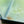Load image into Gallery viewer, Live Daphnia Culture (Moina) – Perfect Live Food for Nano Fish & Fry