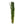 Load image into Gallery viewer, Vallisneria gigantea (Thin Val) – Easy Background Plant for Low Tech Aquarium