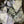 Load image into Gallery viewer, SEIRYU ROCK Japanese stone $10 per Kilogram