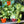 Load image into Gallery viewer, Arrow Plants (syngonium)
