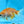Load image into Gallery viewer, Assorted Fantail Goldfish 5cm
