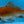 Load image into Gallery viewer, Assorted Comet Goldfish 5cm
