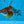 Load image into Gallery viewer, Assorted Fantail Goldfish 5cm
