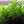 Load image into Gallery viewer, Complete Plant Bundle – (6 Plants)
