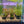 Load image into Gallery viewer, Complete Plant Bundle – (6 Plants)
