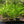 Load image into Gallery viewer, Complete Plant Bundle – (6 Plants)
