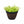 Load image into Gallery viewer, Monte Carlo
