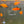 Load image into Gallery viewer, Assorted Platy
