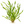Load image into Gallery viewer, Twisted Vallisneria ‘Contortionist’ – Live Aquarium Plant
