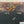 Load and play video in Gallery viewer, Assorted Males
