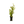 Load image into Gallery viewer, Beginner plant Bundle (3 Plants)
