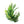 Load image into Gallery viewer, Complete Plant Bundle – (6 Plants)
